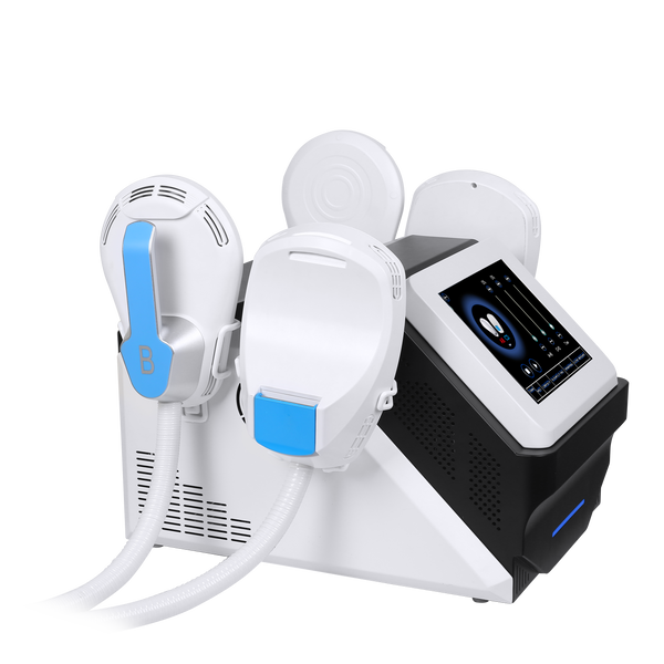 3P8A1558.png?v=1684837758&